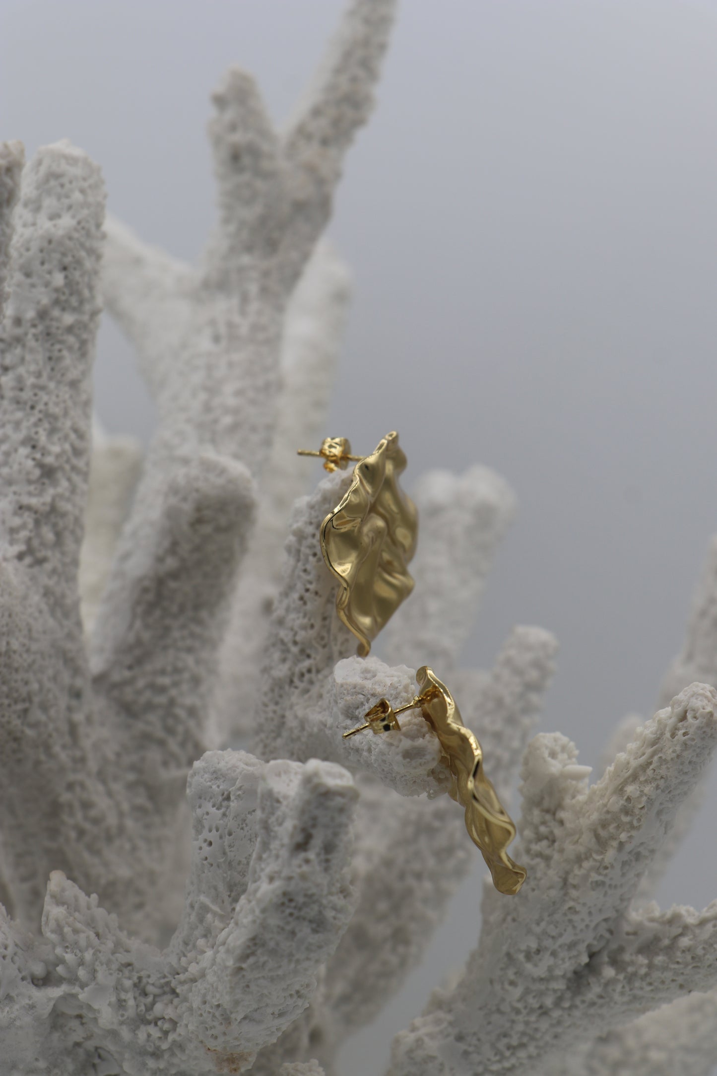 Coastal Earrings